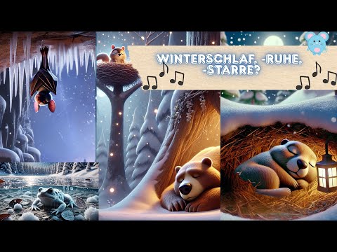 Winterschlaf, Winterruhe, Winterstarre I Kinderlied