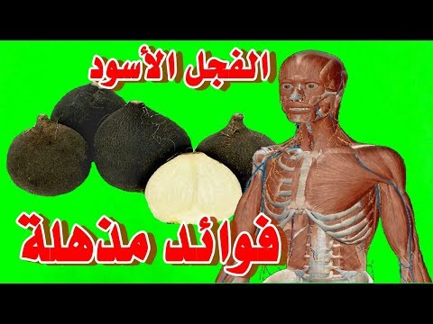 , title : 'الفجل الأسود Black Radish وفوائد علاجية مذهلة وغير متوقعة ستجعلك تتناول الفجل الأسود'