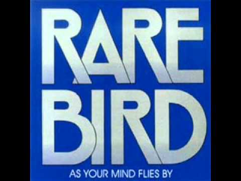 Down on the Floor - Rare Bird