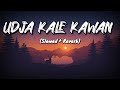 Udja Kale Kawan Slowed Reverb Gadar Victory Lofi Song NYK Music Production