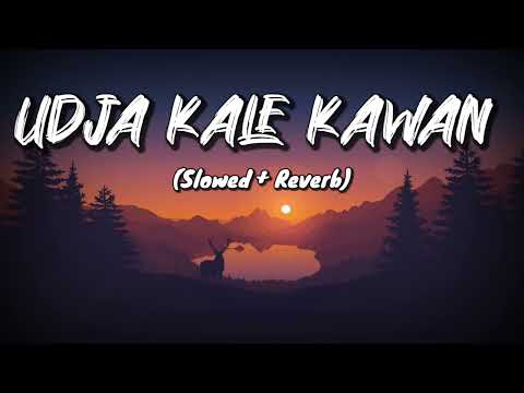 Udja Kale Kawan (Slowed + Reverb) | Gadar | Victory | Lofi Song | NYK Music Production