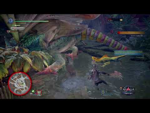 Fighting Leshen while keeping Pukei Pukei alive