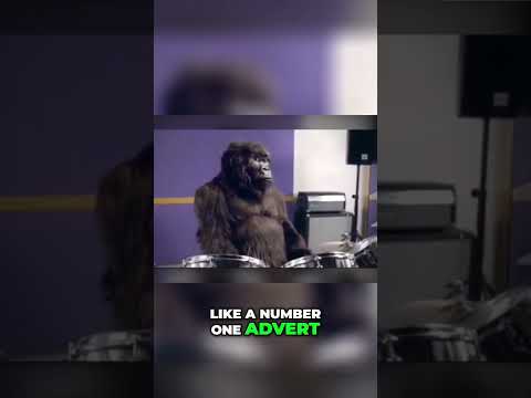 The Viral Gorilla Drummer: Behind the Iconic Cadbury's Chocolate Advert