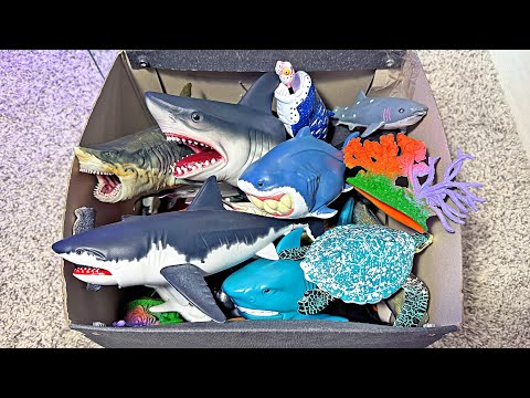 NEW SEA ANIMALS TOYS - Shark, Whale, Octopus, Whaleshark, Turtle, Great White Shark, Dolphin