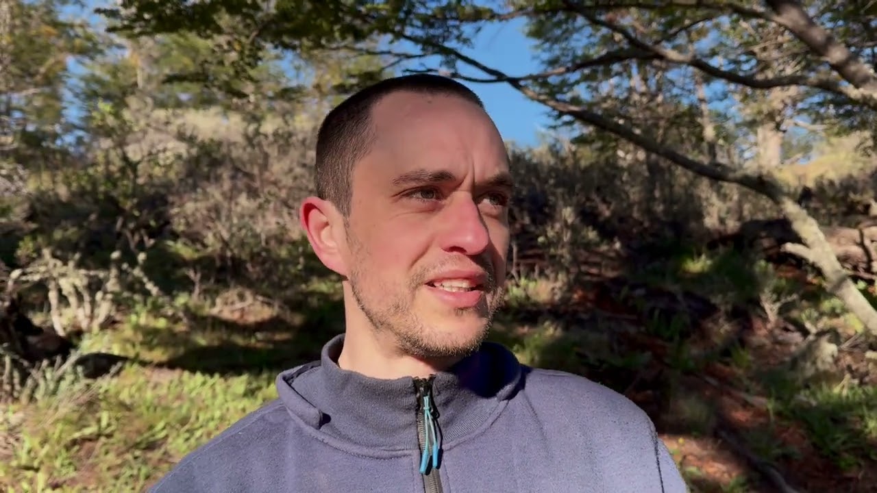 Autodestruição é a resposta