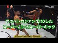 ペトロシアンを倒したキックの秘密[Muaythai]