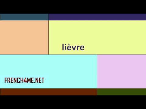 French For Beginners  I  How to pronounce  I lièvre