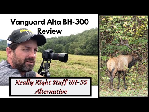 Vanguard Alta BH-300 Review - Really Right Stuff BH-55 Alternative