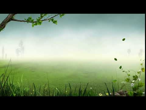 Forest Background Video Effects   Video Effects HD Free Stock  25fps video Templates Animation 1080p