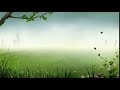 Forest Background Video Effects   Video Effects HD Free Stock  25fps video Templates Animation 1080p