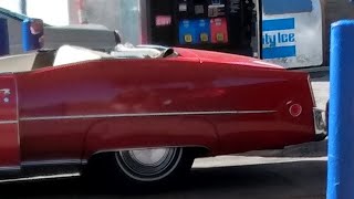 ⚱️ VERY IMPORTANT ANCESTORS MESSAGES ⚠️