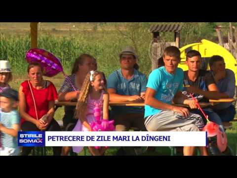 PETRECERE DE ZILE MARI LA DINGENI