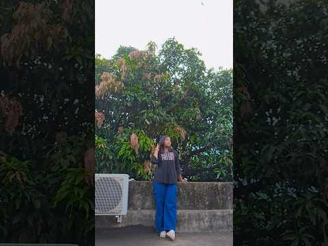 ✨️ #shreyashi #dance #youtubeshorts