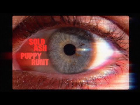 Sold Ash - Puppy Runt (Official Lyric Video)