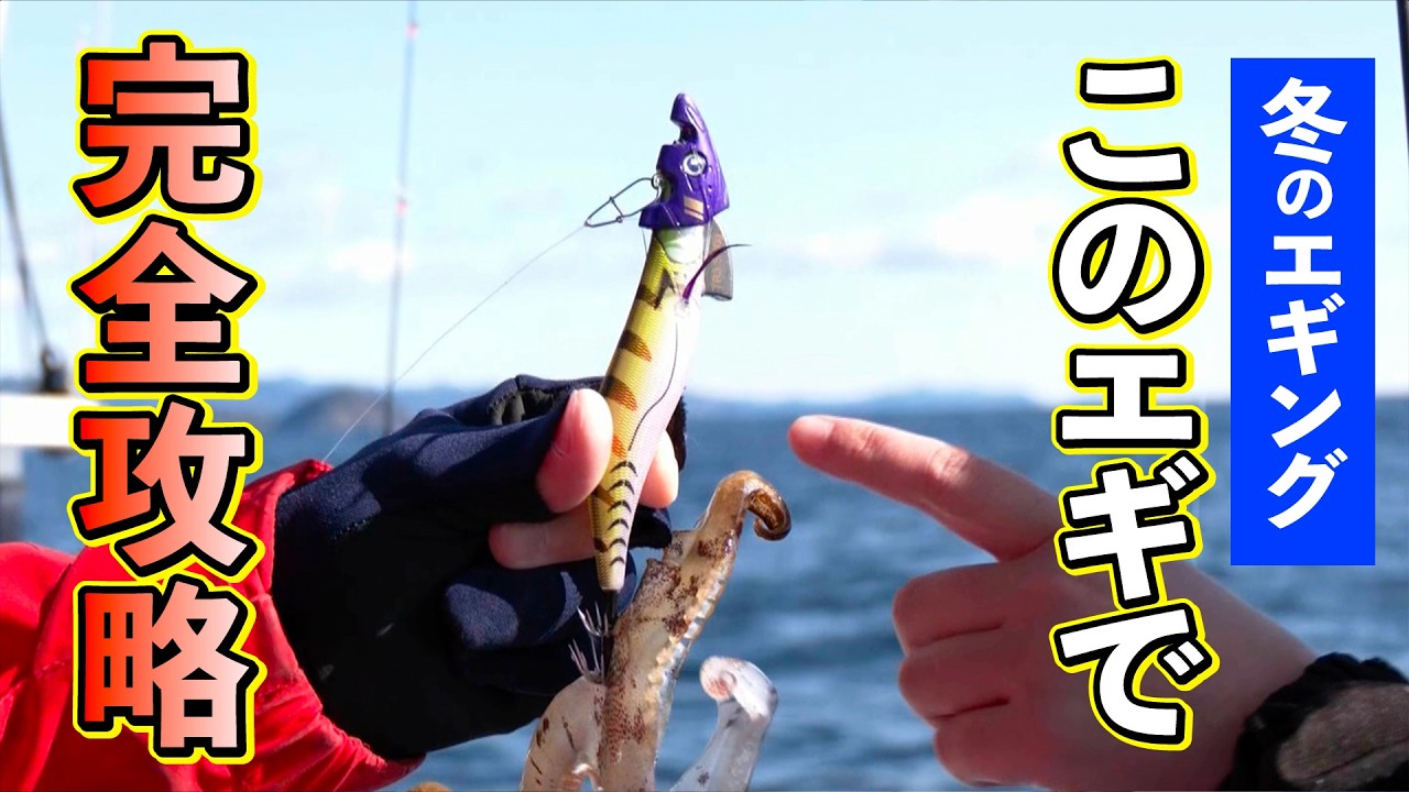 冬のティップランエギング　大型アオリイカを釣りましょう！（四季の釣り/2026年2月13日放送）