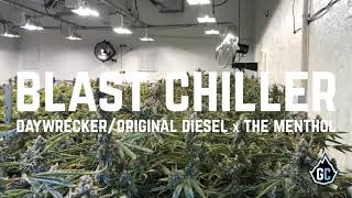 Blast Chiller (10/22/20)