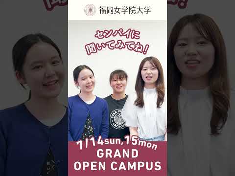 現代文化学科 ✨現代文化学科についてセンパイに聞いてみた⭐️♯14『糸ゼミってどんなゼミですか？』 ✨