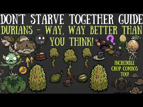 Don't Starve Together Guide: Durians - FAR Better Than You Think! - Giants, Nutrients & More
