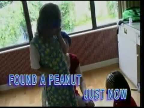 ((Sing Along & Learn)) 13 - Found A Peanut