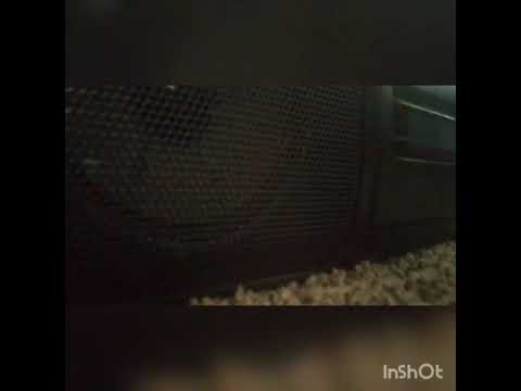 VIDEOTO1990SROCKBANDSUFFICIDE 1994SONGULTIMATE.PUNISHMENT.SAYSMYNAMEJOSEPH NOWCORRECTMEIN2020-18-8