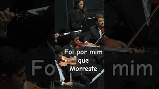 413- Foi por mim que Morreste. (Santa ceia) #shortsccb #santaceia #ccbhinos #ccbbrás #hinosccb