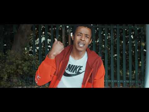 Shadz - Fakes from facts🤫