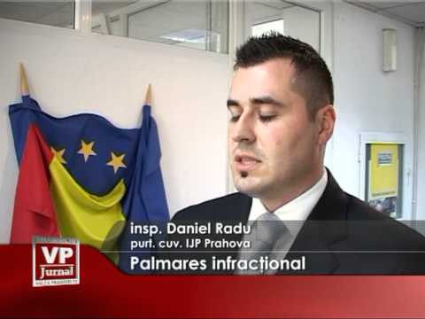 Palmares infractional bogat
