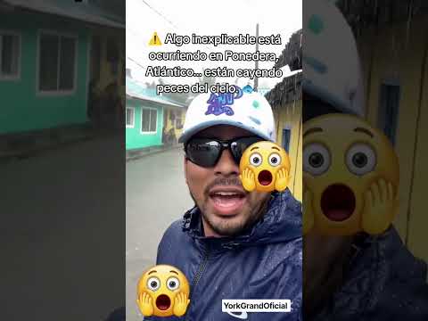 🚨 ÚLTIMA HORA | Extraño fenómeno sorprende a los habitantes de Ponedera, Atlántico 🌧️🐟
