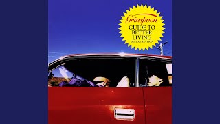 American Party Bomb (Live At Falls Festival 1997)