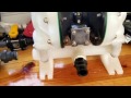 All You Need To Know About Air Diaphragm Pumps