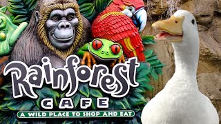 I took my duck to Rainforest Cafe 🐸
