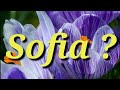Sofia Name Status Sofia Name Meaning Sofia Name WhatsApp Status Magic Of Name