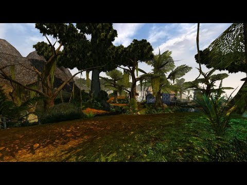 Seyda neen in 2022 4K NOT 60fps  OpenMW modded with zesterer shaders