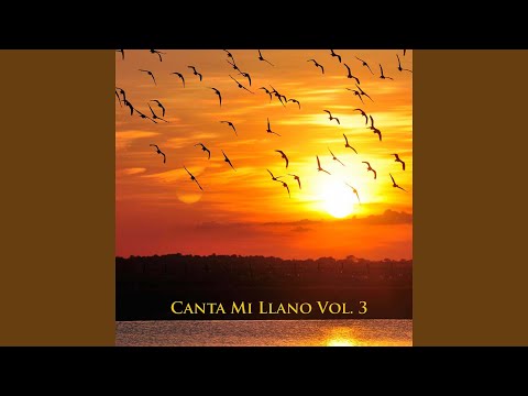 Video Piel Canela (Audio) de Luis Silva