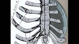 Coalesce - On Being a Bastard