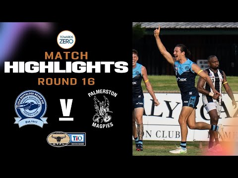 Darwin Buffaloes v Palmerston Magpies | Round 16, 2024/25 | TIO NTFL