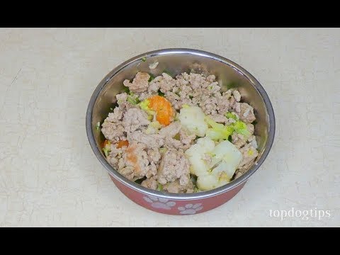 download lagu mp3 mp4 Best Dog Food For Skin Allergies Australia, download lagu Best Dog Food For Skin Allergies Australia gratis, unduh video klip Best Dog Food For Skin Allergies Australia