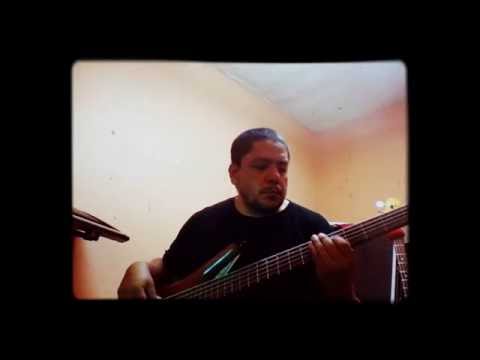 Yes, Sir. I Can Boogie. Baccara. Bass Cover.