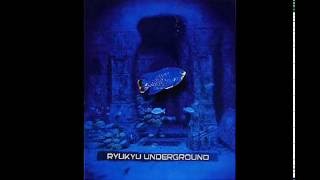 Ryukyu Underground - Tinsagu Nu Hana Dub