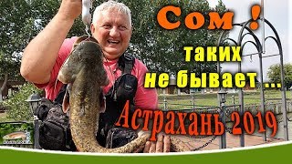 Рыболовная база астраханской области фортуна