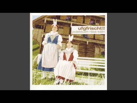 Blick übere Bodesee