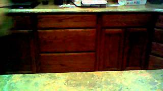 tim and tina the talking tummys