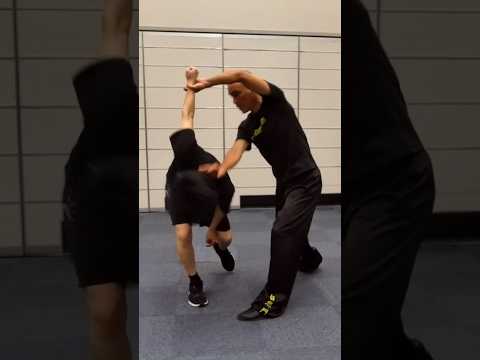 【自然門コンビネーション】 #kungfu #自然門 #接近戦  #cqc  #ziranmen  #naist #アクション動画 #武術 #格闘技