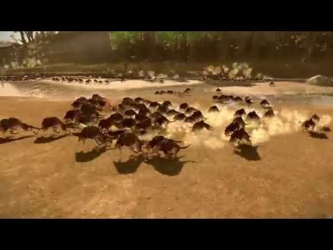 3000 Chaos Warhounds VS 4000 Handgunners Warhammer Total War