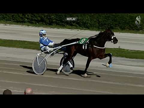 Aversa trotto 9 Febbraio 2022 - 1° Corsa