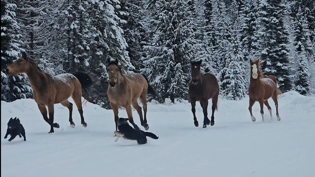 Hanging with the hay crowd!