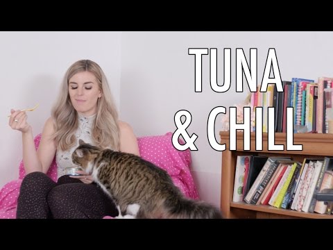 When Your Cat Is Your Significant Other | Christina Tried Her Best | HelloGiggles