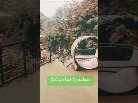 #trendingshorts #family #sikkim