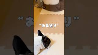 お見送り