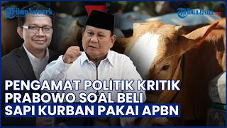 Pengamat Politik Kritik Prabowo Beli Sapi Kurban Pakai APBN: Idealnya Pakai Uang Pribadi